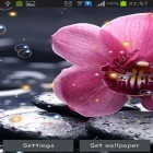 Além do papel de parede animado para Android Hora do chá, baixar do arquivo apk gratuito da imagem de fundo Orquídea HD.