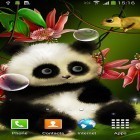 Além do papel de parede animado para Android Neve do Natal, baixar do arquivo apk gratuito da imagem de fundo Panda.