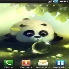 Além do papel de parede animado para Android Raios de luz, baixar do arquivo apk gratuito da imagem de fundo Panda bolinho.