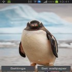 Além do papel de parede animado para Android Noite de queda de neve, baixar do arquivo apk gratuito da imagem de fundo Pinguim.