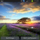 Além do papel de parede animado para Android Árvores da primavera , baixar do arquivo apk gratuito da imagem de fundo Por do sol perfeito.