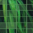 Além do papel de parede animado para Android Jardim céltico HD, baixar do arquivo apk gratuito da imagem de fundo FotoTelha.