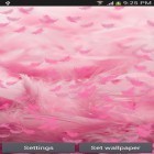 Além do papel de parede animado para Android Mar azul 3D, baixar do arquivo apk gratuito da imagem de fundo Pena cor de rosa.
