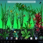 Além do papel de parede animado para Android Gato natal , baixar do arquivo apk gratuito da imagem de fundo Aquário de massinha .
