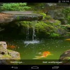 Além do papel de parede animado para Android Ilhas voadoras, baixar do arquivo apk gratuito da imagem de fundo Lagoa com Koi.