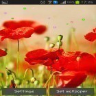 Além do papel de parede animado para Android Árvore de flor, baixar do arquivo apk gratuito da imagem de fundo Campos de papoula.