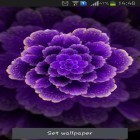 Além do papel de parede animado para Android Chuva de primavera, baixar do arquivo apk gratuito da imagem de fundo Flor roxa.