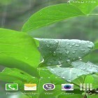 Além do papel de parede animado para Android S4 Lótus luz do sol , baixar do arquivo apk gratuito da imagem de fundo Tempestade.