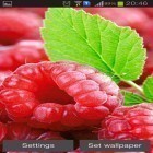 Além do papel de parede animado para Android Primavera , baixar do arquivo apk gratuito da imagem de fundo Framboesas.