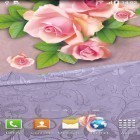 Além do papel de parede animado para Android Camomiles e joaninhas, baixar do arquivo apk gratuito da imagem de fundo Rosa.
