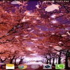 Além do papel de parede animado para Android Ilhas do céu, baixar do arquivo apk gratuito da imagem de fundo Sakura 3D.
