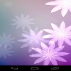 Além do papel de parede animado para Android Melhor borboleta, baixar do arquivo apk gratuito da imagem de fundo Samsung: Carnaval.