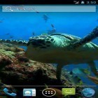 Além do papel de parede animado para Android Relógio legal, baixar do arquivo apk gratuito da imagem de fundo Tartaruga marinha.