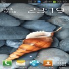 Além do papel de parede animado para Android Folhas , baixar do arquivo apk gratuito da imagem de fundo Concha do mar.