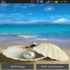 Além do papel de parede animado para Android Pôr do sol de girassol, baixar do arquivo apk gratuito da imagem de fundo Conchas do mar.