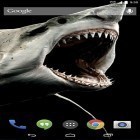 Além do papel de parede animado para Android Pintinhos , baixar do arquivo apk gratuito da imagem de fundo Tubarão 3D.