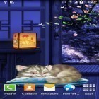 Além do papel de parede animado para Android Queda das folhas HD, baixar do arquivo apk gratuito da imagem de fundo Gatinho dormindo.