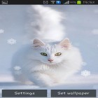 Além do papel de parede animado para Android Torre Eiffel: Paris, baixar do arquivo apk gratuito da imagem de fundo Gatos de neve.
