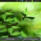Além do papel de parede animado para Android Oceano: Baleia, baixar do arquivo apk gratuito da imagem de fundo Botões de primavera.