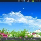 Além do papel de parede animado para Android Bandeira do arco-íris, baixar do arquivo apk gratuito da imagem de fundo Flor da primavera.
