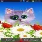 Além do papel de parede animado para Android Olhos de leão , baixar do arquivo apk gratuito da imagem de fundo Primavera: Gatinho.