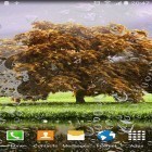 Além do papel de parede animado para Android Neon 2 HD, baixar do arquivo apk gratuito da imagem de fundo Paisagens de Primavera.