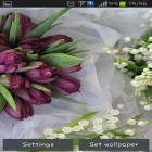 Além do papel de parede animado para Android Simples relógio analógico, baixar do arquivo apk gratuito da imagem de fundo Lírios e tulipas da Primavera.