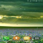 Além do papel de parede animado para Android Aranha alienígena 3D , baixar do arquivo apk gratuito da imagem de fundo Chuva de primavera.