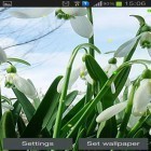 Além do papel de parede animado para Android Túneis de plasma alienígenas 3D, baixar do arquivo apk gratuito da imagem de fundo Flor da Primavera.
