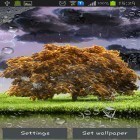 Além do papel de parede animado para Android O aquário verdadeiro, baixar do arquivo apk gratuito da imagem de fundo Tempestade de Primavera .