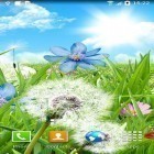 Além do papel de parede animado para Android Seda rosa , baixar do arquivo apk gratuito da imagem de fundo Flores do verão.