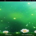 Além do papel de parede animado para Android Mundo do mar , baixar do arquivo apk gratuito da imagem de fundo Flores do verão.