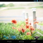 Além do papel de parede animado para Android Galáxia da água , baixar do arquivo apk gratuito da imagem de fundo Flores do verão.