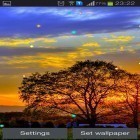 Além do papel de parede animado para Android Gatinho sonolento, baixar do arquivo apk gratuito da imagem de fundo Por do sol da primavera.