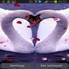 Além do papel de parede animado para Android Natureza mágica , baixar do arquivo apk gratuito da imagem de fundo Cisnes: Amor.