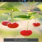 Além do papel de parede animado para Android Corações , baixar do arquivo apk gratuito da imagem de fundo Cereja doce.