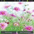 Além do papel de parede animado para Android Espaço profundo 3D , baixar do arquivo apk gratuito da imagem de fundo Flores doces.