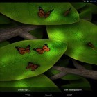 Além do papel de parede animado para Android Noite florescendo, baixar do arquivo apk gratuito da imagem de fundo Toque de folhas .