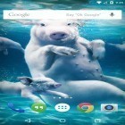 Além do papel de parede animado para Android Olho do zumbi, baixar do arquivo apk gratuito da imagem de fundo Animais subaquáticos.