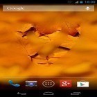 Além do papel de parede animado para Android Pingos de chuva de outono, baixar do arquivo apk gratuito da imagem de fundo Tela embaciada HD.