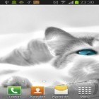 Além do papel de parede animado para Android Galáxia do espaço , baixar do arquivo apk gratuito da imagem de fundo Os gatos brancos.