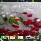 Além do papel de parede animado para Android Jade natureza HD, baixar do arquivo apk gratuito da imagem de fundo Baga do Inverno.