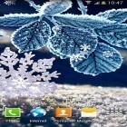 Além do papel de parede animado para Android Noite do luar , baixar do arquivo apk gratuito da imagem de fundo Inverno.