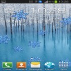 Além do papel de parede animado para Android Lótus bonito, baixar do arquivo apk gratuito da imagem de fundo Inverno.