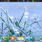Além do papel de parede animado para Android A primavera está chegando, baixar do arquivo apk gratuito da imagem de fundo Grama de inverno.