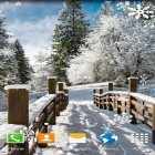 Além do papel de parede animado para Android Primavera: 8 de Março. Desejos, baixar do arquivo apk gratuito da imagem de fundo Paisagens do inverno.
