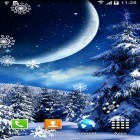 Além do papel de parede animado para Android Mosca no celular, baixar do arquivo apk gratuito da imagem de fundo Noite do inverno.
