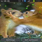 Além do papel de parede animado para Android Fogo e gelo, baixar do arquivo apk gratuito da imagem de fundo Esquilo de Inverno.