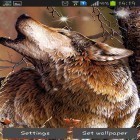 Além do papel de parede animado para Android Paralaxe de galáxia 3D, baixar do arquivo apk gratuito da imagem de fundo Lobo.