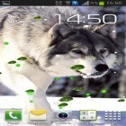 Além do papel de parede animado para Android Floresta de fadas , baixar do arquivo apk gratuito da imagem de fundo Mistério de lobos .